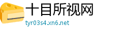 十目所视网